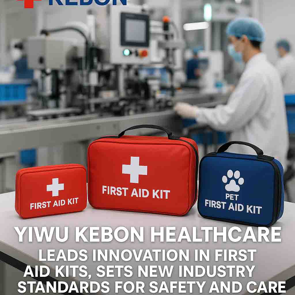 Debutta Kit di pronto soccorso Ansi-Standard-Empowering per luoghi di lavoro più sicuri in tutto il mondo