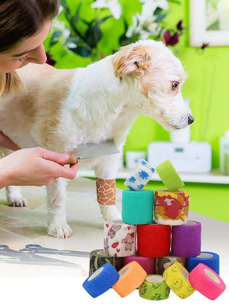 Sicurezza nei viaggi estivi: perché un kit di pronto soccorso per animali domestici è essenziale per i viaggi su strada nel 2026