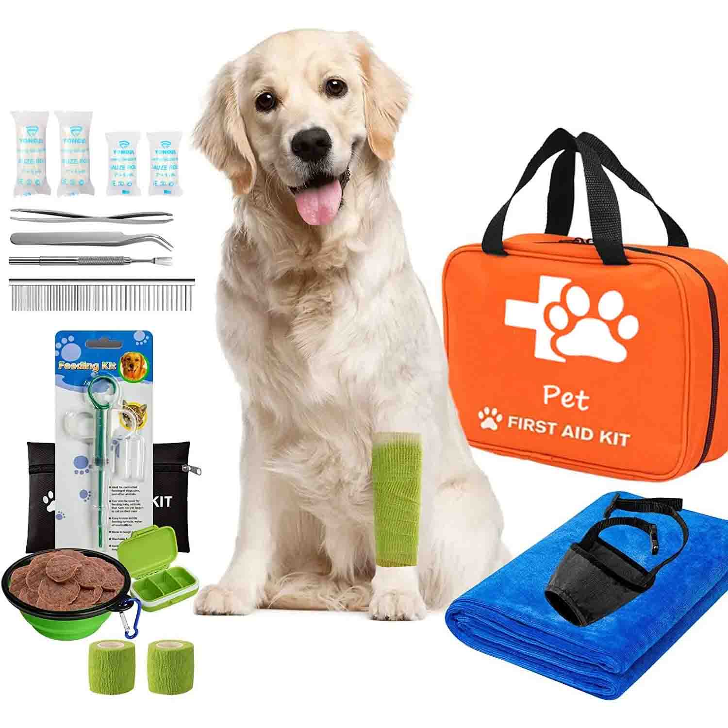 Kit di pronto soccorso per gatti